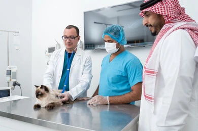 عيادة نبض الرعاية البيطرية