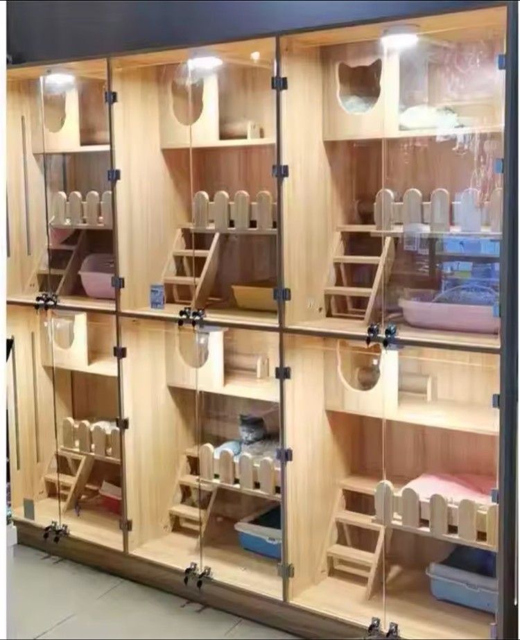 فندق قطط Meow Hotel Riyadh في الرياض